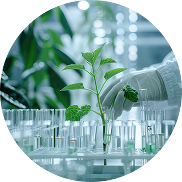 Công nghệ tiên tiến từ Nhật Bản